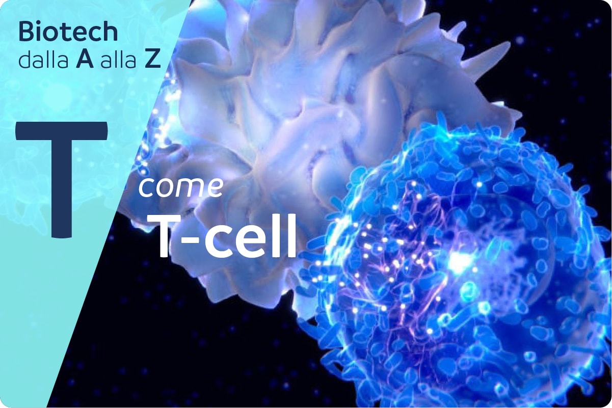 T-cell