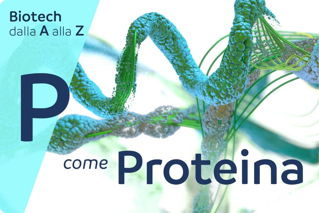 Proteina